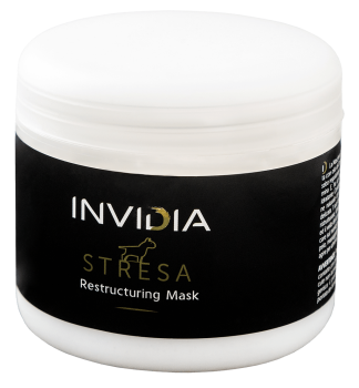 Invidia-italia-stresa-restructuring-mask